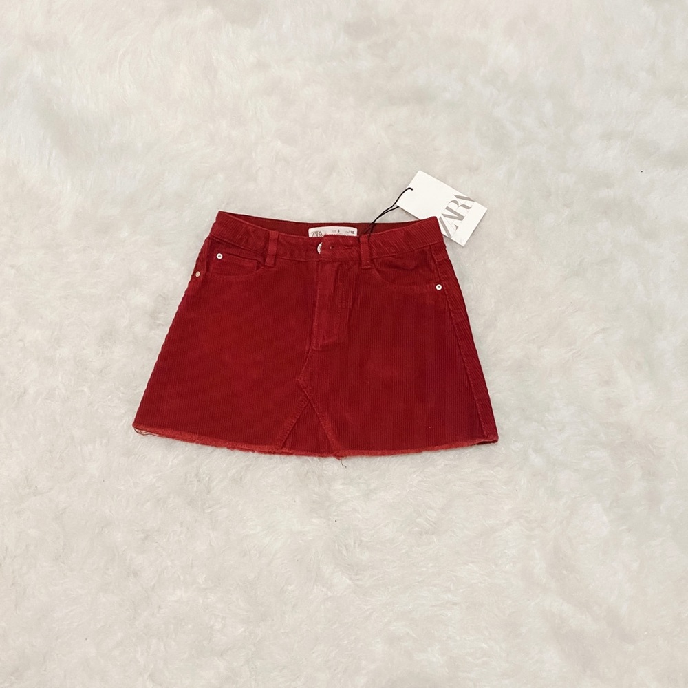 Zara Skirt